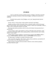 Svečių iš Belgijos šalies vizito Lietuvoje vadyba 2 puslapis