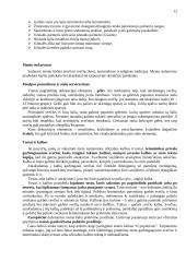 Svečių iš Belgijos šalies vizito Lietuvoje vadyba 11 puslapis