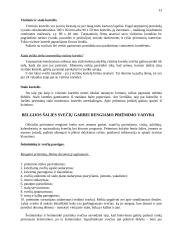 Svečių iš Belgijos šalies vizito Lietuvoje vadyba 12 puslapis