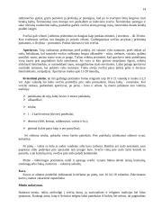 Svečių iš Belgijos šalies vizito Lietuvoje vadyba 13 puslapis