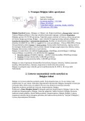 Svečių iš Belgijos šalies vizito Lietuvoje vadyba 3 puslapis