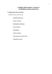 Svečių iš Belgijos šalies vizito Lietuvoje vadyba 4 puslapis