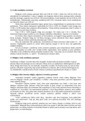 Svečių iš Belgijos šalies vizito Lietuvoje vadyba 5 puslapis