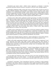 Svečių iš Belgijos šalies vizito Lietuvoje vadyba 8 puslapis