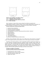 Svečių iš Belgijos šalies vizito Lietuvoje vadyba 9 puslapis