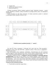 Svečių iš Belgijos šalies vizito Lietuvoje vadyba 10 puslapis