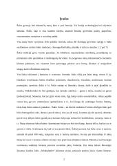 Šokio istorija 2 puslapis