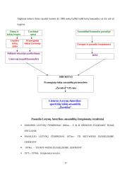 Šokio istorija 17 puslapis