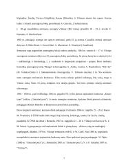 Šokio istorija 7 puslapis