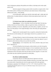 Šunų galimybės ir jų panaudojimas valstybės sienos apsaugai 6 puslapis