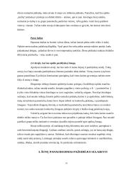 Šunų galimybės ir jų panaudojimas valstybės sienos apsaugai 9 puslapis