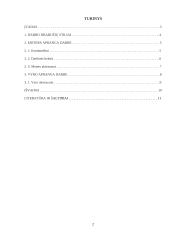 Tarnybinė vyrų ir moterų apranga, aksesuarai 2 puslapis