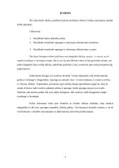 Tarnybinė vyrų ir moterų apranga, aksesuarai 3 puslapis