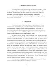 Tarnybinė vyrų ir moterų apranga, aksesuarai 5 puslapis