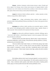 Tarnybinė vyrų ir moterų apranga, aksesuarai 6 puslapis