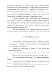 Tarnybinė vyrų ir moterų apranga, aksesuarai 8 puslapis