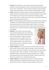 Tarnybinis moterų etiketas 10 puslapis