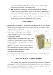 Tarnybinis moterų etiketas 11 puslapis