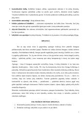 Tarnybinis moterų etiketas 6 puslapis