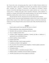 Tarptautinis protokolas ir etiketas Olandijoje 11 puslapis