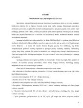 Tarptautinis protokolas ir etiketas Olandijoje 12 puslapis