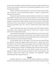 Tarptautinis protokolas ir etiketas Olandijoje 13 puslapis