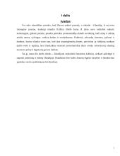 Tarptautinis protokolas ir etiketas Olandijoje 3 puslapis