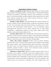 Tarptautinis protokolas ir etiketas Olandijoje 4 puslapis