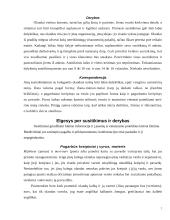 Tarptautinis protokolas ir etiketas Olandijoje 7 puslapis