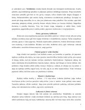 Tarptautinis protokolas ir etiketas Olandijoje 9 puslapis