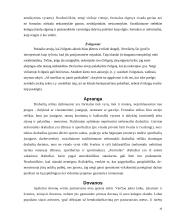 Tarptautinis protokolas ir etiketas Olandijoje 10 puslapis