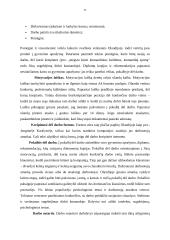 Tarptautinis protokolas ir etiketas Olandijos Respublikoje 10 puslapis