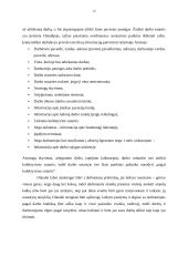 Tarptautinis protokolas ir etiketas Olandijos Respublikoje 11 puslapis