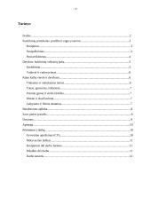 Tarptautinis protokolas ir etiketas Olandijos Respublikoje 12 puslapis