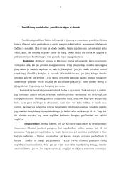 Tarptautinis protokolas ir etiketas Olandijos Respublikoje 2 puslapis