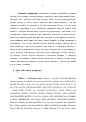 Tarptautinis protokolas ir etiketas Olandijos Respublikoje 5 puslapis