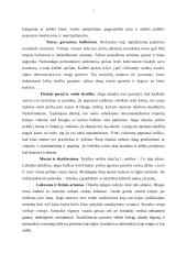 Tarptautinis protokolas ir etiketas Olandijos Respublikoje 6 puslapis