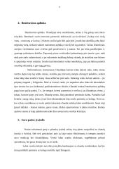 Tarptautinis protokolas ir etiketas Olandijos Respublikoje 7 puslapis