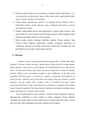 Tarptautinis protokolas ir etiketas Olandijos Respublikoje 8 puslapis