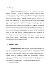 Tarptautinis protokolas ir etiketas Olandijos Respublikoje 9 puslapis