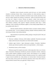 Trimatės kompiuterinės animacijos taikymas 13 puslapis