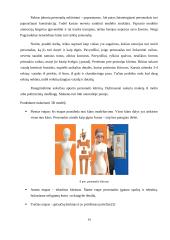 Trimatės kompiuterinės animacijos taikymas 14 puslapis