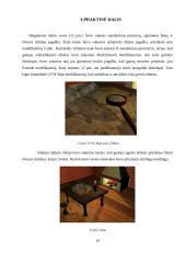 Trimatės kompiuterinės animacijos taikymas 18 puslapis