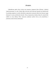 Trimatės kompiuterinės animacijos taikymas 19 puslapis