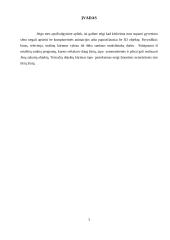 Trimatės kompiuterinės animacijos taikymas 3 puslapis