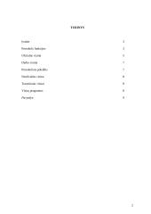 Užsienio valstybių delegacijų priėmimo protokoliniai klausimai 2 puslapis