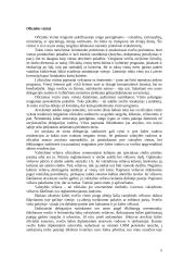 Užsienio valstybių delegacijų priėmimo protokoliniai klausimai 5 puslapis