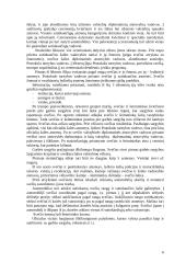 Užsienio valstybių delegacijų priėmimo protokoliniai klausimai 6 puslapis