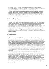 Verslininkų ir vadybininkų apranga, avalynė, viešoji kalba ir elgesys 8 puslapis