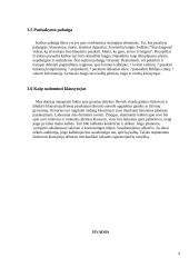 Verslininkų ir vadybininkų apranga, avalynė, viešoji kalba ir elgesys 9 puslapis